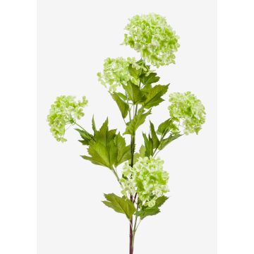 Fleur de boule de neige artificielle ZENIA, vert clair, 85cm