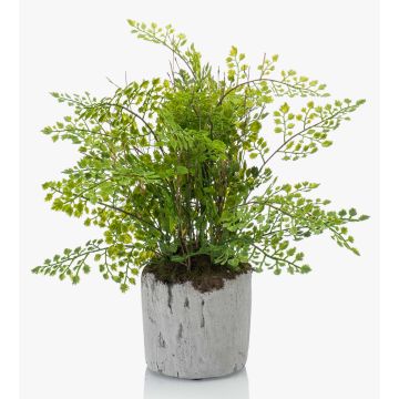 Fougère type Capillaire de Montpellier artificielle SANTINA en pot en ciment, vert, 30cm