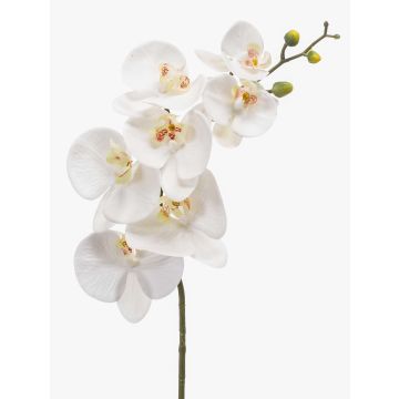Tige d'orchidée Phalaenopsis en soie NEITH, blanc, 85cm