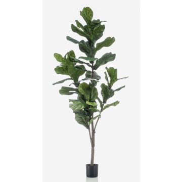 Ficus Lyrata artificiel ENRIKO, tronc artificiel, vert, 150cm