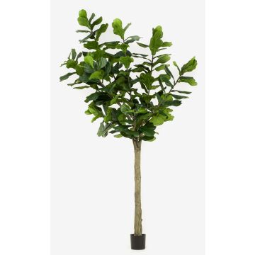 Ficus Lyrata artificiel ENRIKO, tronc artificiel, vert, 300cm Ficus Lyrata artificiel ENRIKO, tronc artificiel, vert, 300cm