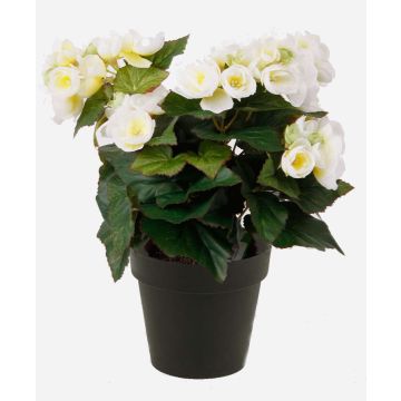 Bégonia artificiel DOBRADA, crème, 30cm