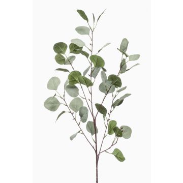 Branche d'eucalyptus artificielle COLTON, vert-gris, 85cm Branche d'eucalyptus artificielle COLTON, vert-gris, 85cm
