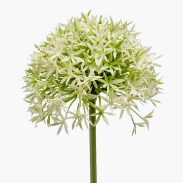 Allium artificiel ARNAU, crème-vert, 60cm