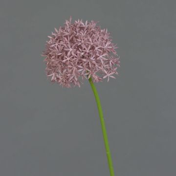 Allium artificiel ARNAU, violet, 60cm