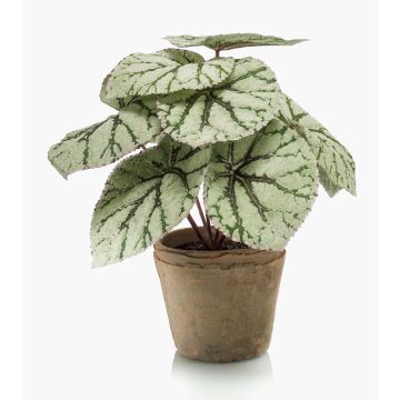 Bégonia rex artificiel MEIRA en pot en terre cuite, vert-gris, 25cm Bégonia rex artificiel MEIRA en pot en terre cuite, vert-gris, 25cm