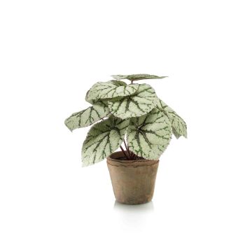 Bégonia rex artificiel MEIRA en pot en terre cuite, vert-gris, 25cm