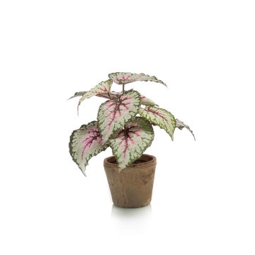 Bégonia rex artificiel MEIRA en pot en terre cuite, vert-rose, 25cm