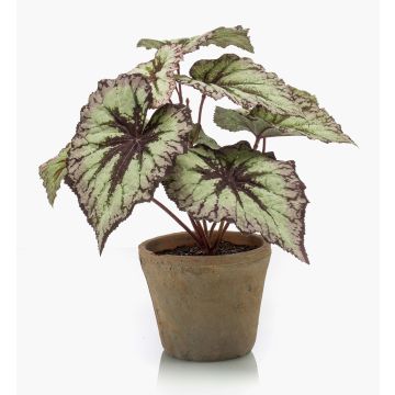 Bégonia rex artificiel MEIRA en pot en terre cuite, vert-violet, 25cm Bégonia rex artificiel MEIRA en pot en terre cuite, vert-violet, 25cm