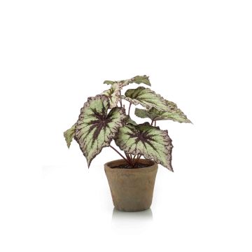 Bégonia rex artificiel MEIRA en pot en terre cuite, vert-violet, 25cm