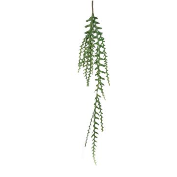 Rhipsalis en plastique en chute TULLIO sur piquet, vert, 125cm