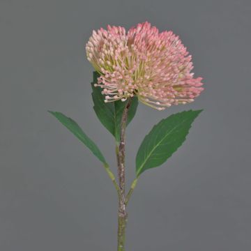 Fleur de sédum artificielle JICAMA, rose, 45cm
