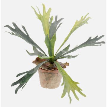 Fougère corne de cerf artificielle MARLEY en pot en terre cuite, vert, Ø45cm