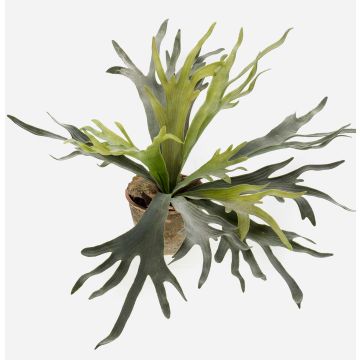 Fougère corne de cerf artificielle MARLEY en pot en terre cuite, vert, Ø75cm