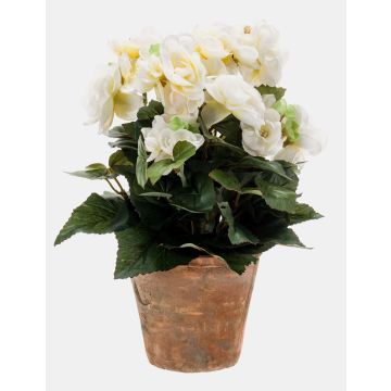 Bégonia artificiel DOBRADA en pot en terre cuite, crème, 25cm