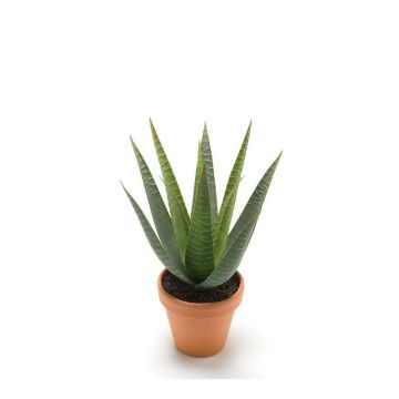 Aloe Variegata en plastique MARTINEZ, pot en terre cuite, vert, 30cm, Ø17cm