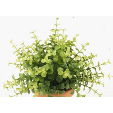 Eucalyptus artificiel JOSHUA sur piquet, vert, 20cm, Ø17cm