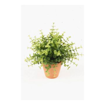 Eucalyptus artificiel JOSHUA en pot en argile, vert, 20cm, Ø17cm