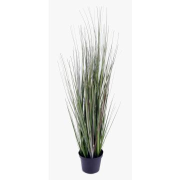 Vulpin artificiel SAMMI, vert, 50cm