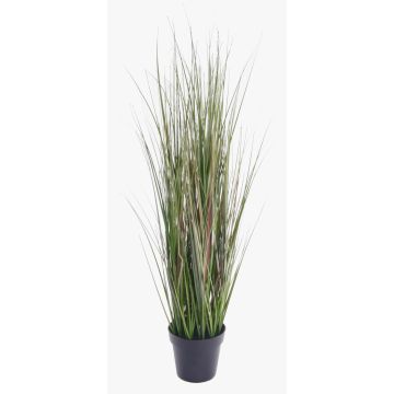 Vulpin artificiel SAMMI, vert, 65cm