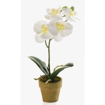 Orchidée Phalaenopsis artificielle SETH en pot décoratif, crème, 25cm