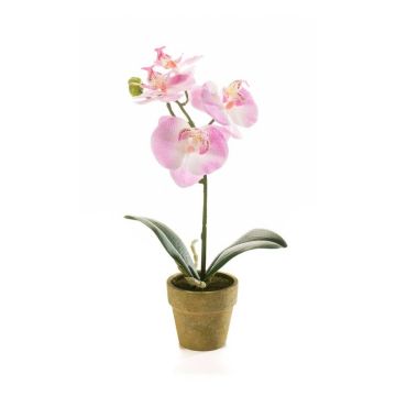 Orchidée Phalaenopsis artificielle SETH en pot décoratif, rose, 25cm Orchidée Phalaenopsis artificielle SETH en pot décoratif, rose, 25cm