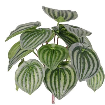 Plante Peperomia artificielle ALARA sur piquet, vert, 25cm