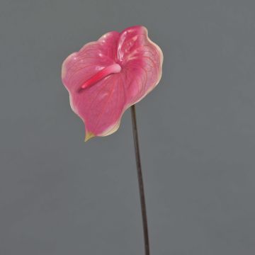 Anthurium artificiel MOIRA, fuchsia-rose, 75cm, 13x20cm