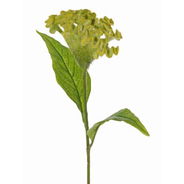 Célosie artificielle ANUBIS, vert-jaune, 60cm, Ø13cm Célosie artificielle ANUBIS, vert-jaune, 60cm, Ø13cm