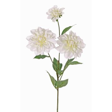 Dahlia artificiel ANJULIKA, blanc, 75cm, Ø6-12cm Dahlia artificiel ANJULIKA, blanc, 75cm, Ø6-12cm