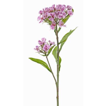 Oeillet artificiel ARCHIE, fuchsia, 60cm, Ø7-16cm Oeillet artificiel ARCHIE, fuchsia, 60cm, Ø7-16cm