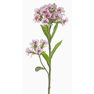 Oeillet artificiel ARCHIE, crème-rose, 60cm, Ø7-16cm Oeillet artificiel ARCHIE, crème-rose, 60cm, Ø7-16cm