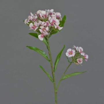 Oeillet artificiel ARCHIE, crème-rose, 60cm, Ø7-16cm