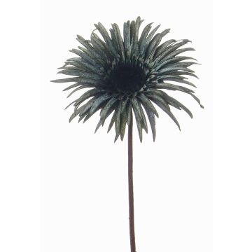 Gerbera artificiel SIEDA, bleu-vert, 65cm, Ø10cm Gerbera artificiel SIEDA, bleu-vert, 65cm, Ø10cm