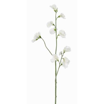 Fleur artificielle Lathyrus ASFALOTH, blanc, 65cm Fleur artificielle Lathyrus ASFALOTH, blanc, 65cm