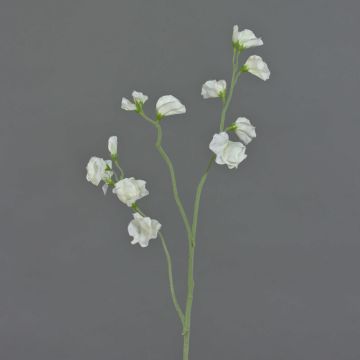 Fleur artificielle Lathyrus ASFALOTH, blanc, 65cm