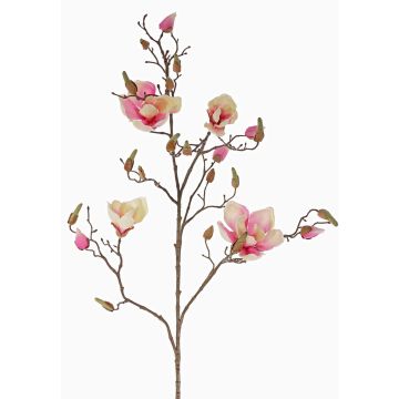 Magnolia en soie LORA, crème-rose, 110cm, Ø10-12cm