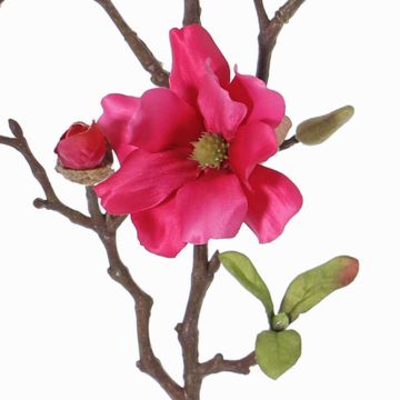 Magnolia artificiel MARGA, fuchsia, 80cm, Ø6-8cm