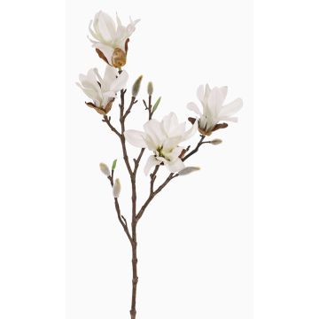 Magnolia étoilé artificiel AZULA, crème, 60cm, Ø7-9cm Magnolia étoilé artificiel AZULA, crème, 60cm, Ø7-9cm