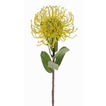 Fleur artificielle Protea BAILY, jaune, 50cm, Ø12cm Fleur artificielle Protea BAILY, jaune, 50cm, Ø12cm