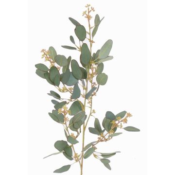 Fausse branche d'eucalyptus COBAR avec fleurs, crossdoor, vert, 65cm, Ø1,5cm Fausse branche d'eucalyptus COBAR avec fleurs, crossdoor, vert, 65cm, Ø1,5cm