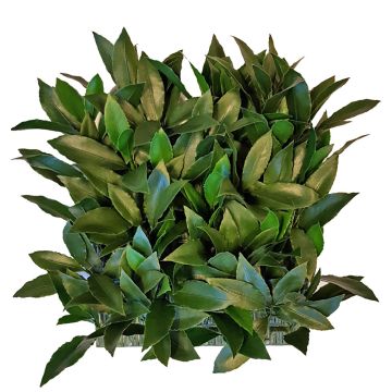 Plaque / Tapis de laurier artificiel FOXI, crossdoor, 25x25cm