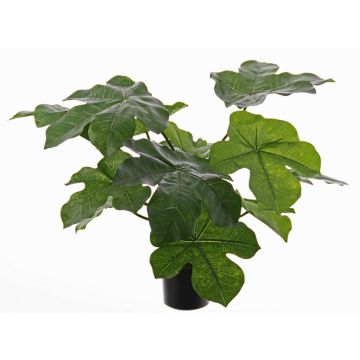 Plante artificielle Jatropha LONY, vert, 50cm