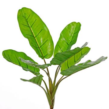 Bananier artificiel LITTY sur piquet, crossdoor, 55cm Bananier artificiel LITTY sur piquet, crossdoor, 55cm