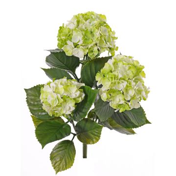 Faux Hortensia SAIRA, piquet, crossdoor, vert, 40cm, Ø11-13cm Faux Hortensia SAIRA, piquet, crossdoor, vert, 40cm, Ø11-13cm