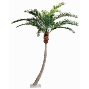 Palmier phoenix artificiel HARPER, crossdoor, 340cm Palmier phoenix artificiel HARPER, crossdoor, 340cm