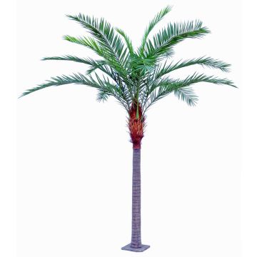 Palmier-dattier artificiel MORLE, crossdoor, 430cm Palmier-dattier artificiel MORLE, crossdoor, 430cm