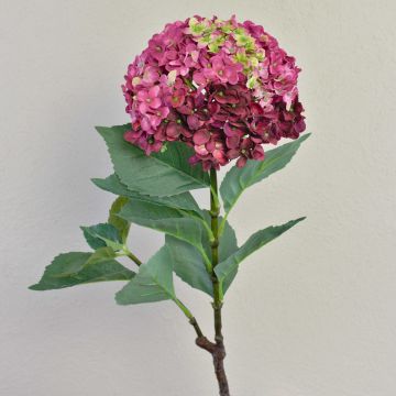Hortensia artificiel EMILIE, fuchsia-vert, 60cm Hortensia artificiel EMILIE, fuchsia-vert, 60cm