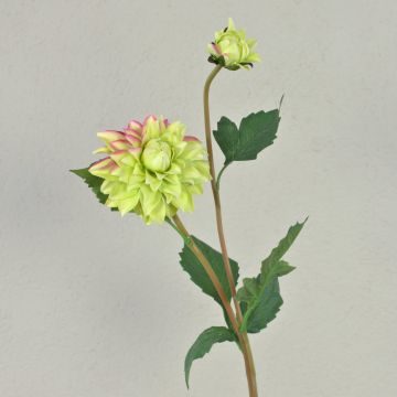 Dahlia en tissu PATRITZIA, vert-rose, 55cm