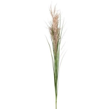 Branche décorative Roseau FROGIL avec des panicules, vert-beige, 135cm Branche décorative Roseau FROGIL avec des panicules, vert-beige, 135cm